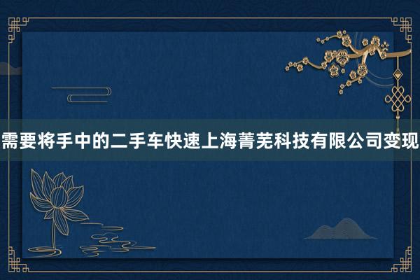 需要将手中的二手车快速上海菁芜科技有限公司变现